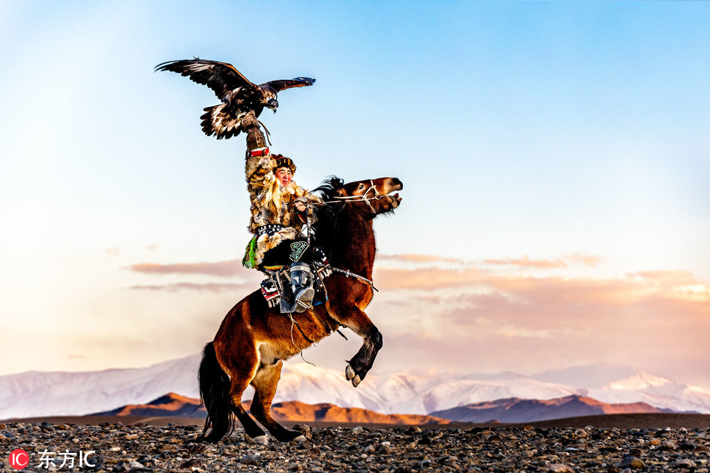 马背之上鹰翅之下走进蒙古国神秘猎鹰族