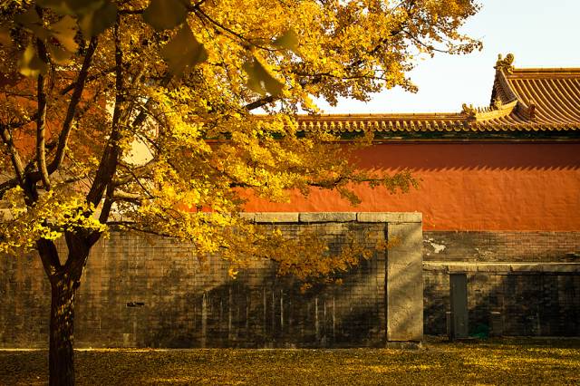 为了故宫去了趟北京 却爱上了犄角旮旯里渗出的文艺京味儿_凤凰网
