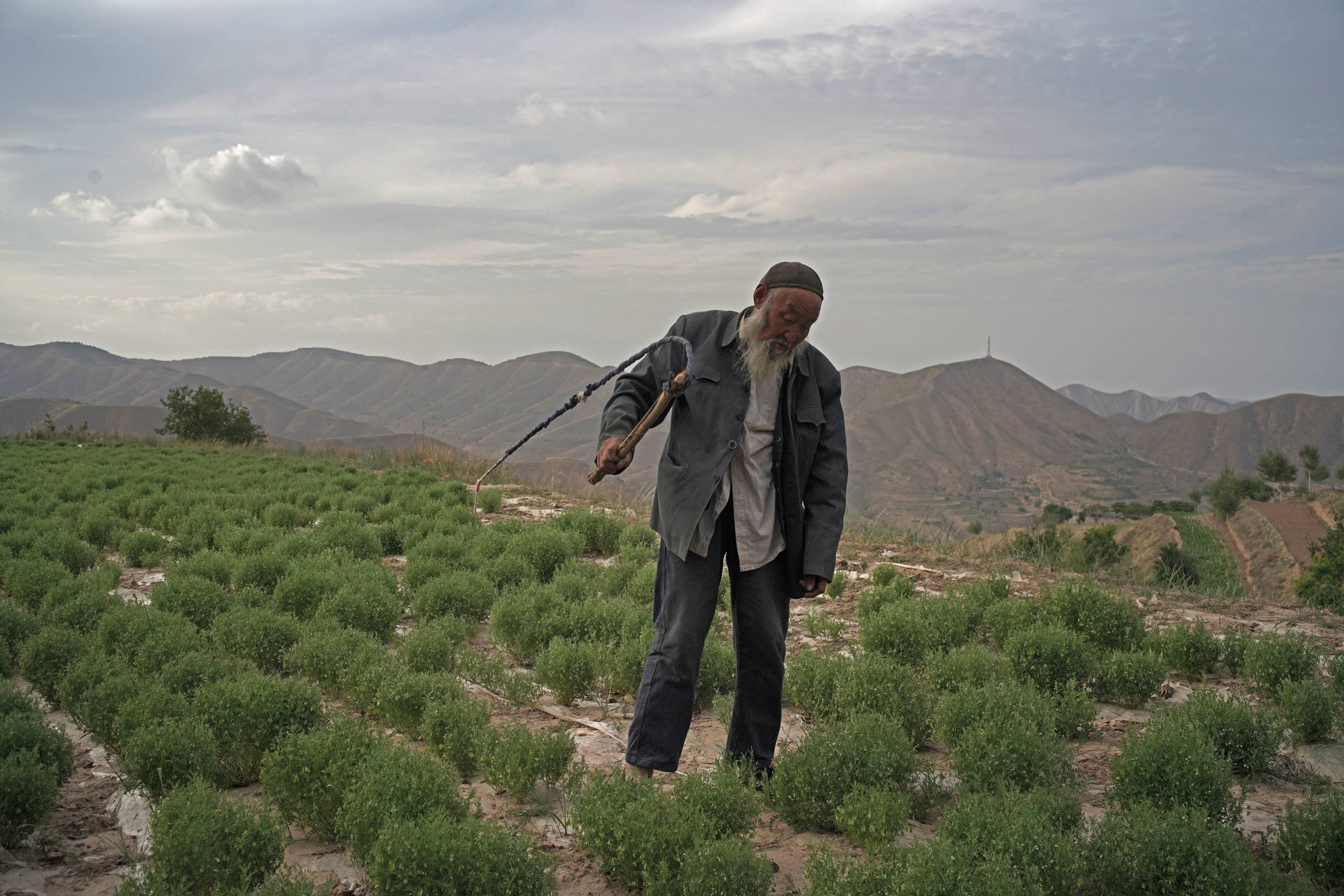 张文德现在的"职业"是看庙,在庙里住了27年,靠村民捐助生活.