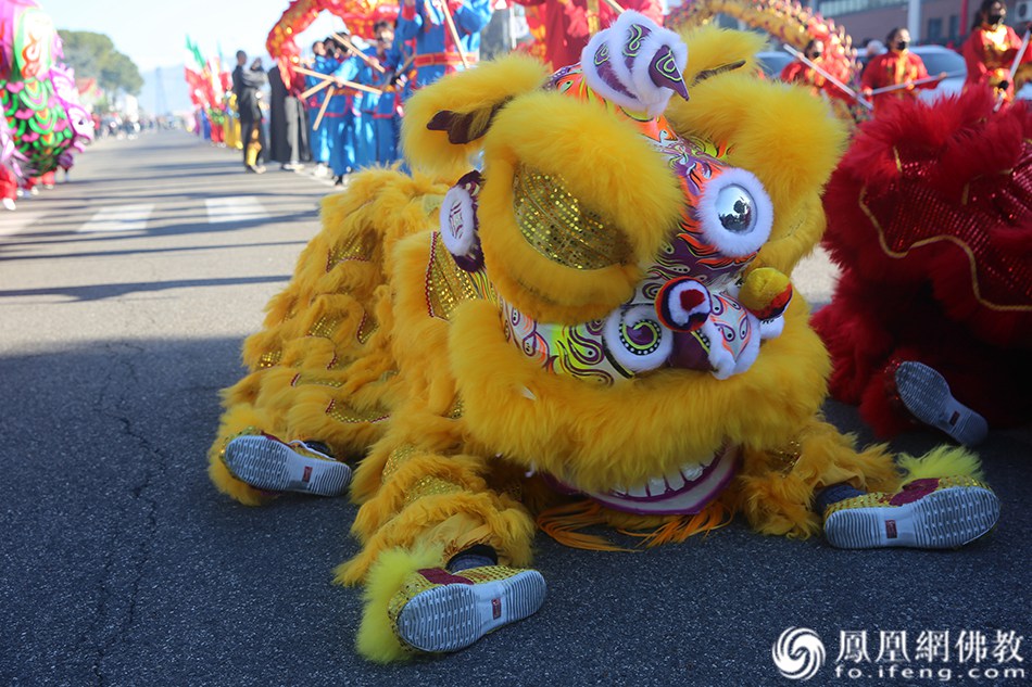 开挂的元宵节:意大利普拉托舞龙巡游牛气冲天