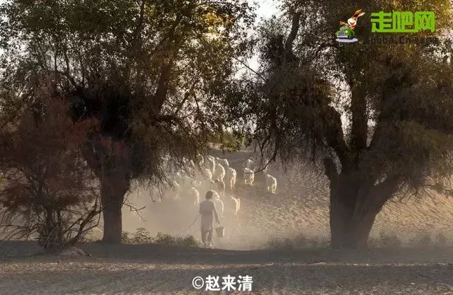 最后的沙漠守望者——克里雅人