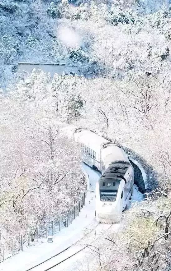 雪国列车