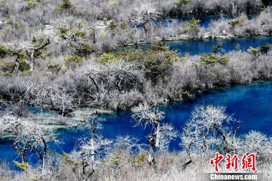 三月的九寨沟风景如画。 安源摄 三月的九寨沟风景如画。 安源摄