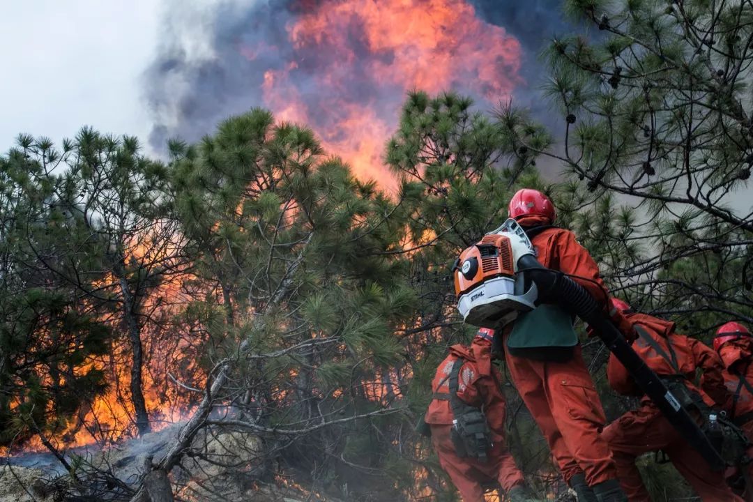 30人牺牲因“中国救火不专业”?质疑前先搞清4个问题