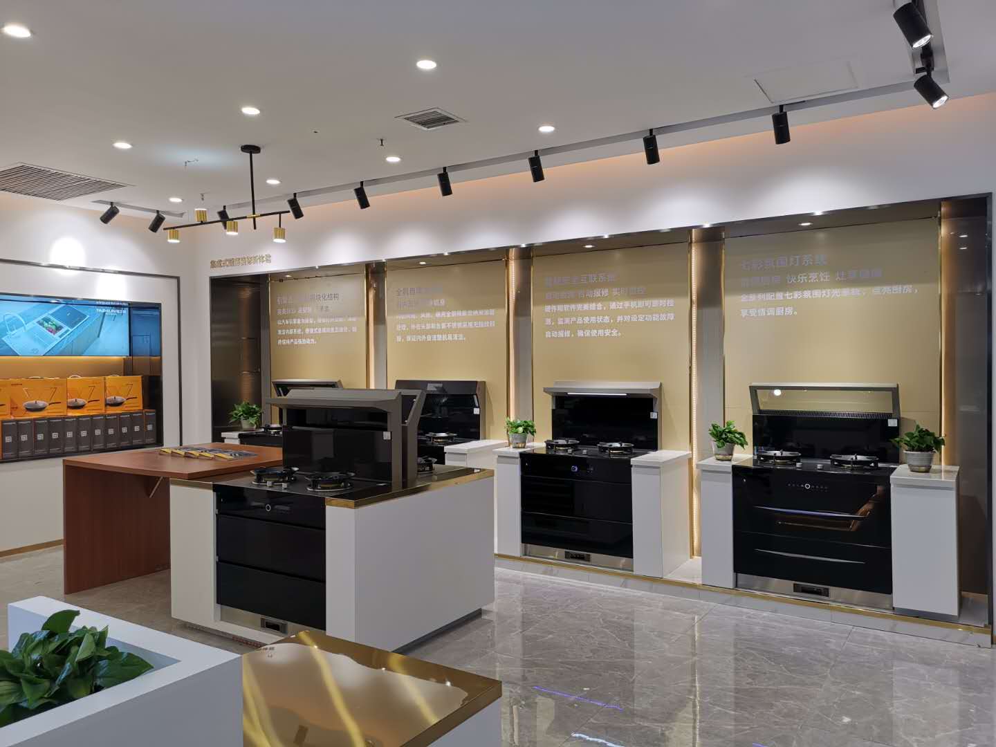 雅士林集成灶湖南长沙旗舰店盛大开业