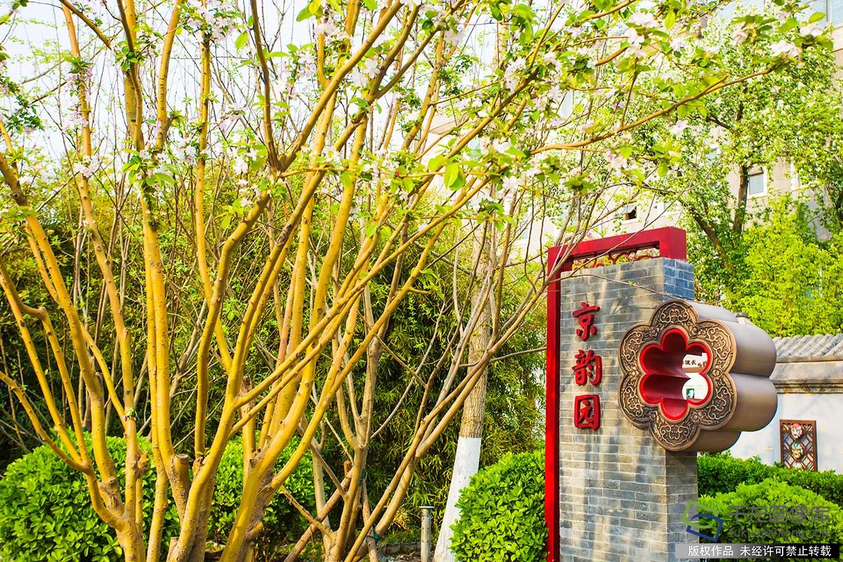 北京图见京韵园春来好景致北京口袋公园扮靓居民生活