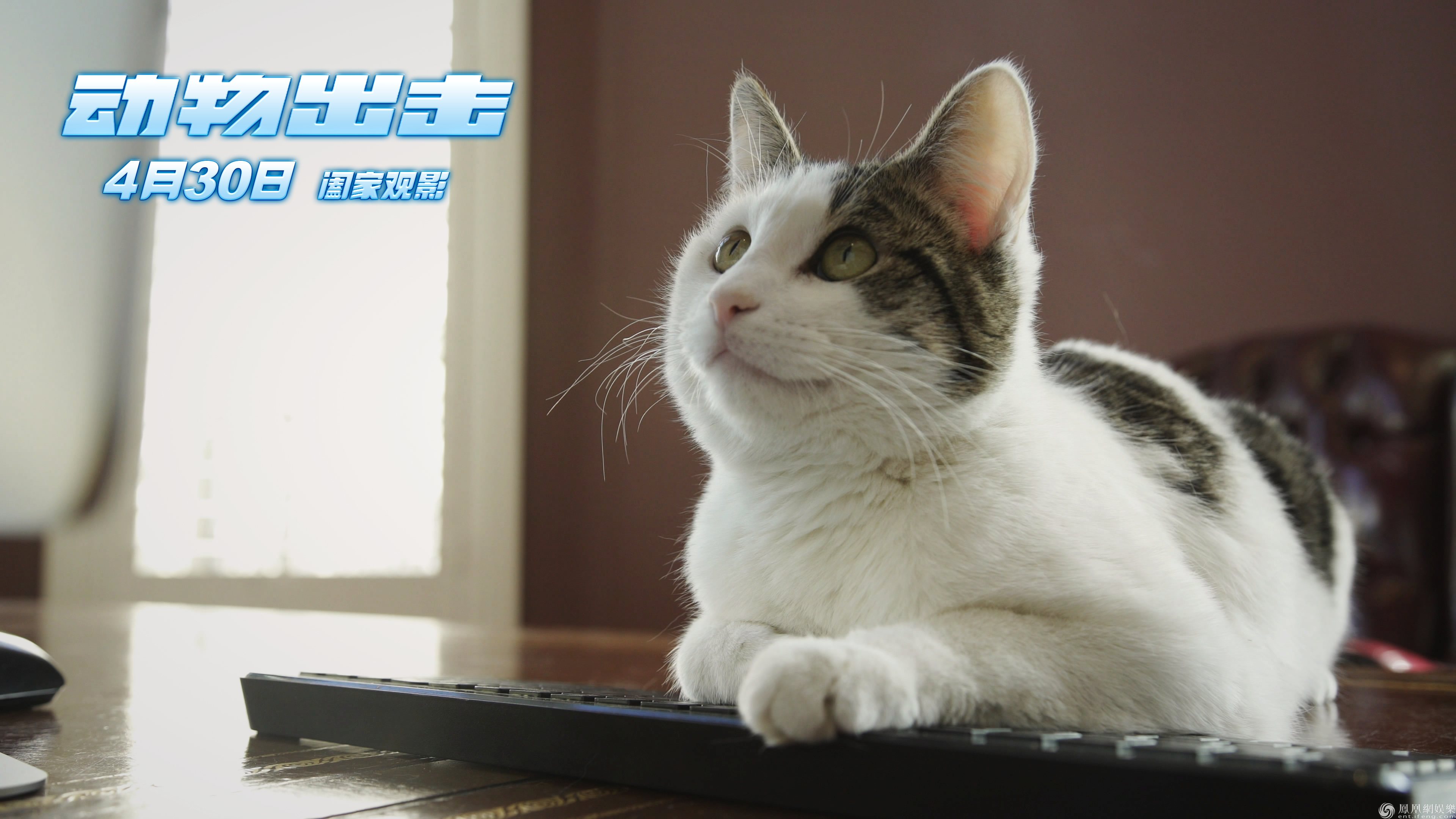 动物出击曝终极预告首部儿童动物电影五一档上映