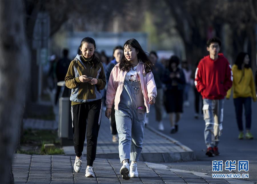 新疆石河子大学的学生走在校园内(4月10日摄)。新华社记者王菲