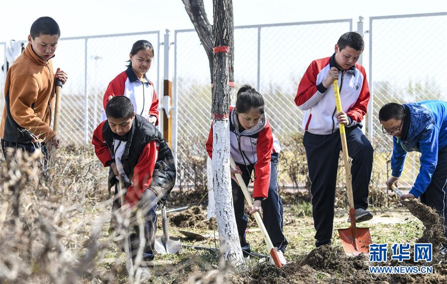 石河子市第九中学学生在校园内翻土为种植植物做准备(4月10日摄)。新华社记者王菲摄