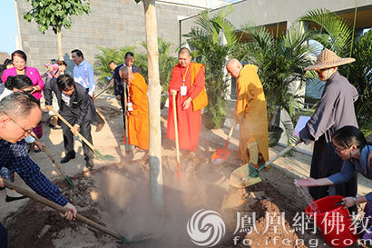 印顺法师与代表团一起种下菩提树（图片来源：凤凰网佛教 摄影：深圳弘法寺）