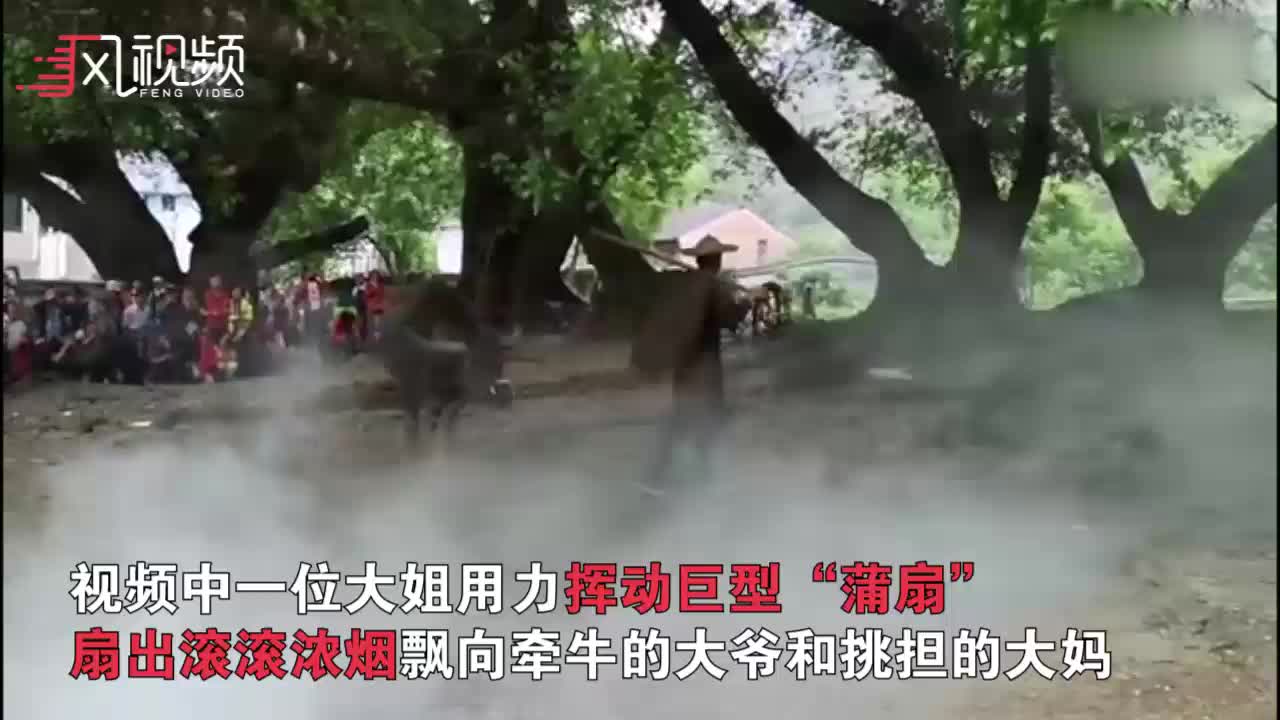 福建杨家溪老农牵牛：人工制造晨雾 模特出场费300元