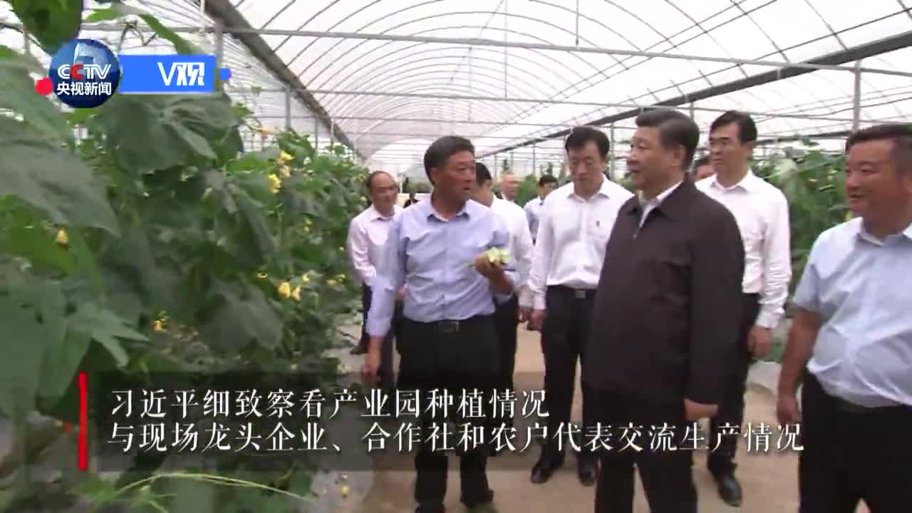 习近平来到梓山富硒蔬菜产业园