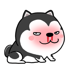 240_240gif 动态图 动图