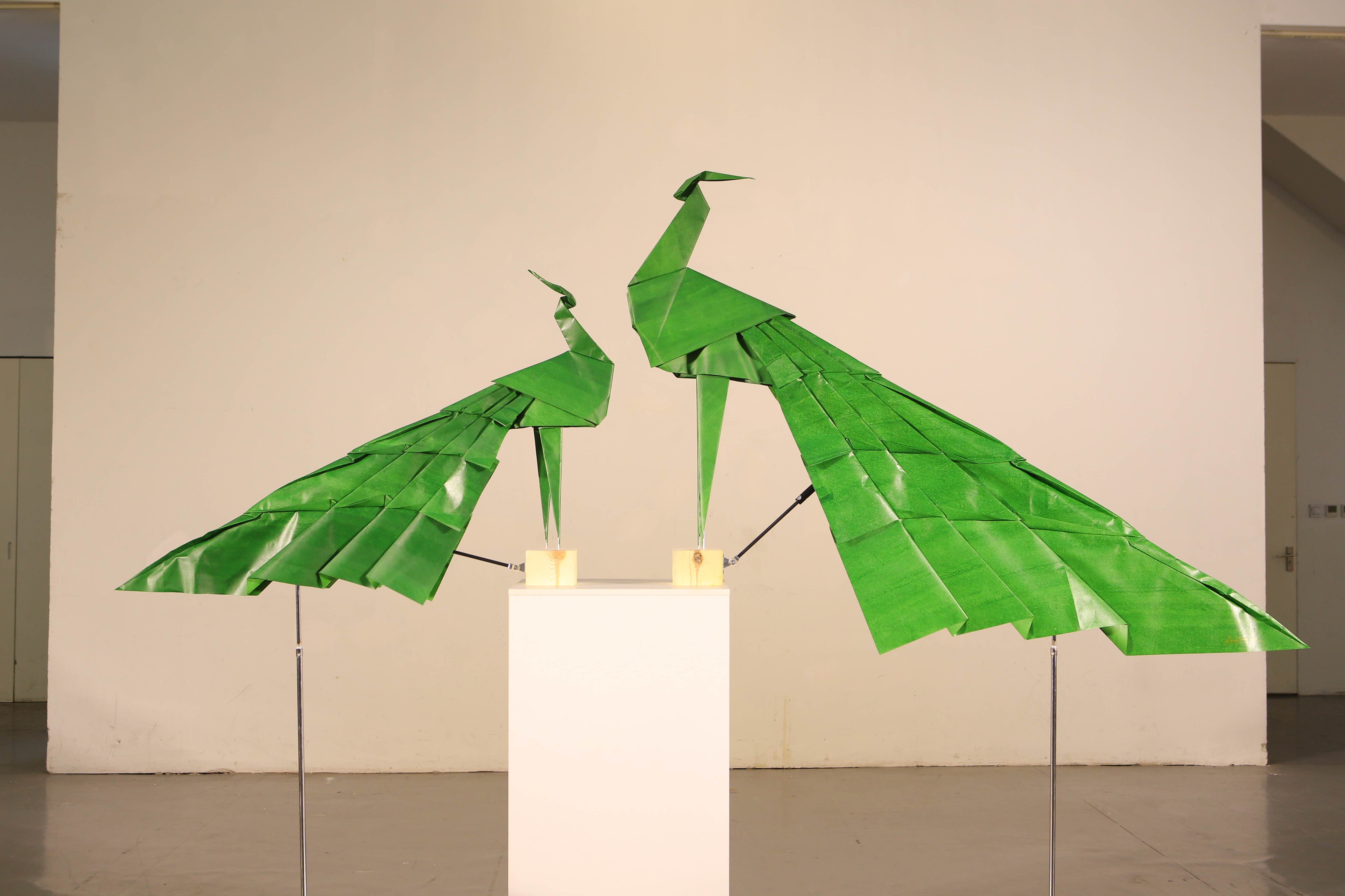 保护濒危绿孔雀吉尼斯纪录创造者刘通直播发起折纸接力赛