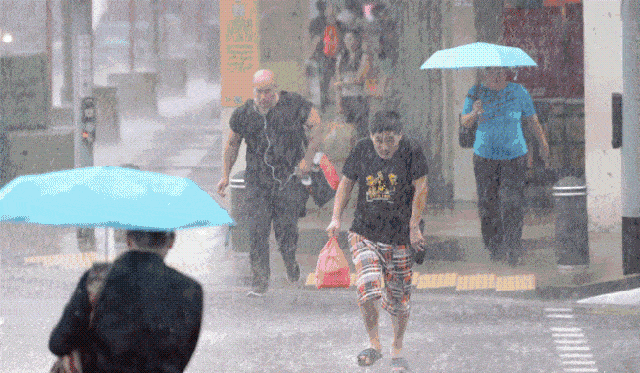凤凰网梧桐汇商城|手持抗风8级闪电开合的暴雨伞，走在雨中高雅不湿身