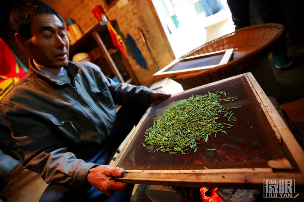 高山里的幸福茶