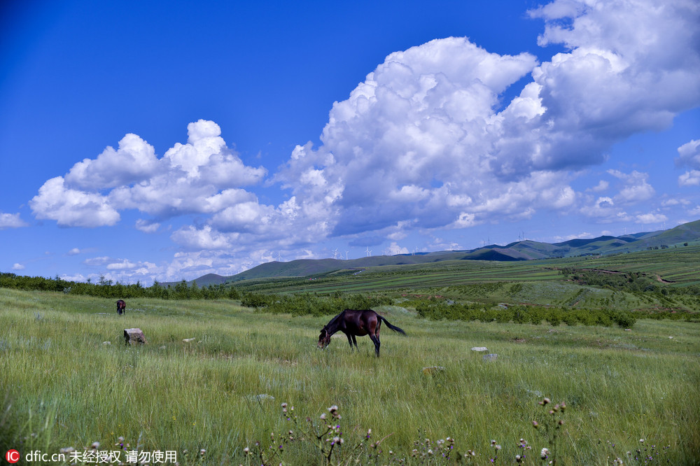 蜿蜒天路走進錫林郭勒大草原 藍天白雲美景如畫_鳳凰旅遊