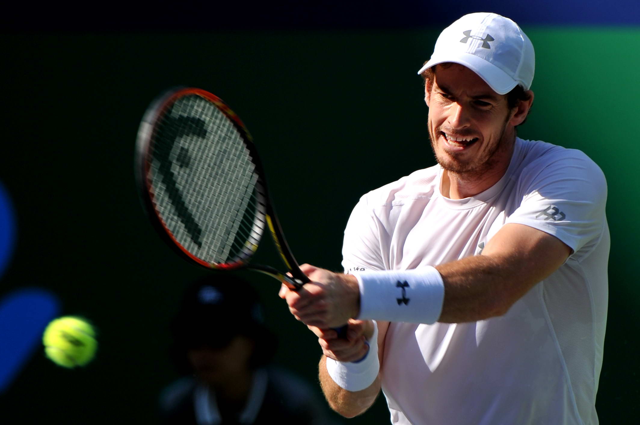 上海大师赛穆雷德约将登场 德尔波特罗外卡参赛