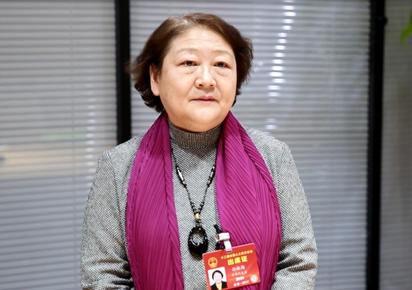 全国人大代表孙晓梅:呼吁学校建立家庭学科