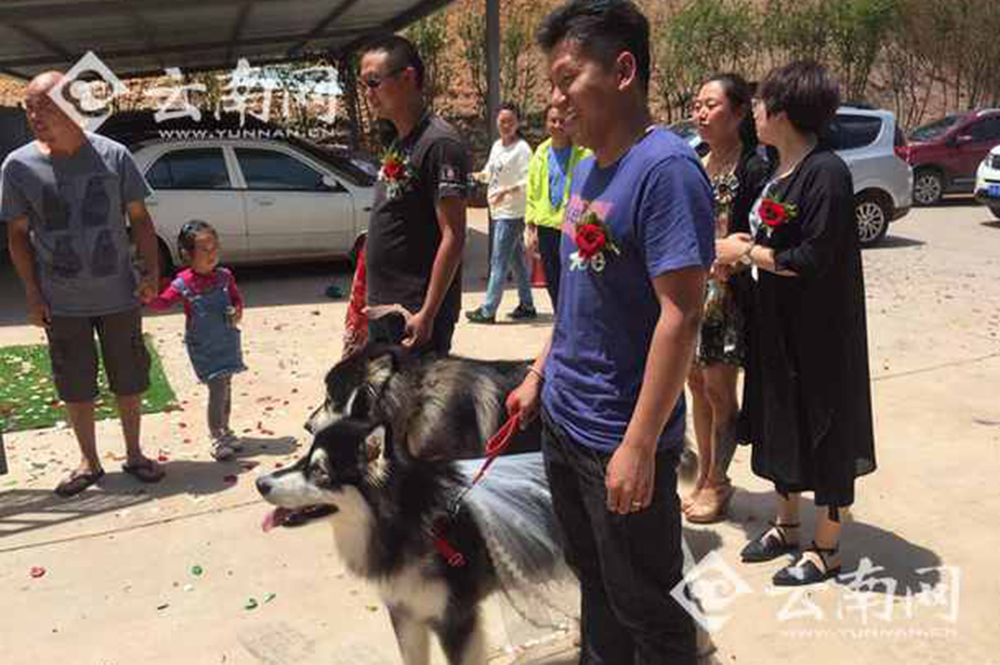 民众为狗办婚礼:狗狗披婚纱有"结婚证"