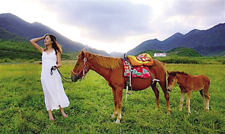 牵马游草原本组图片 记者 邹飞 摄原标题:红池坝高山花海音乐季本周六