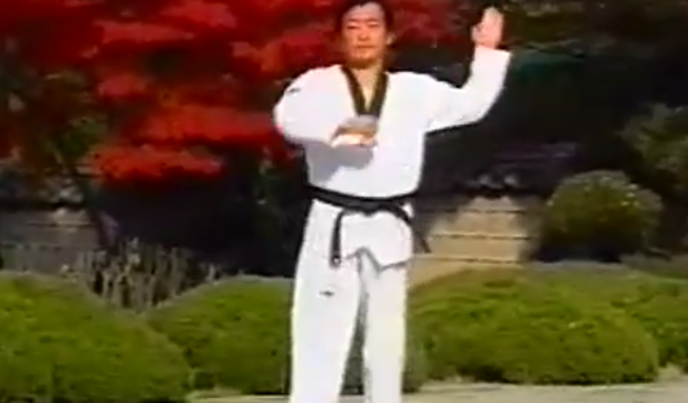 视频:跆拳道太极三章