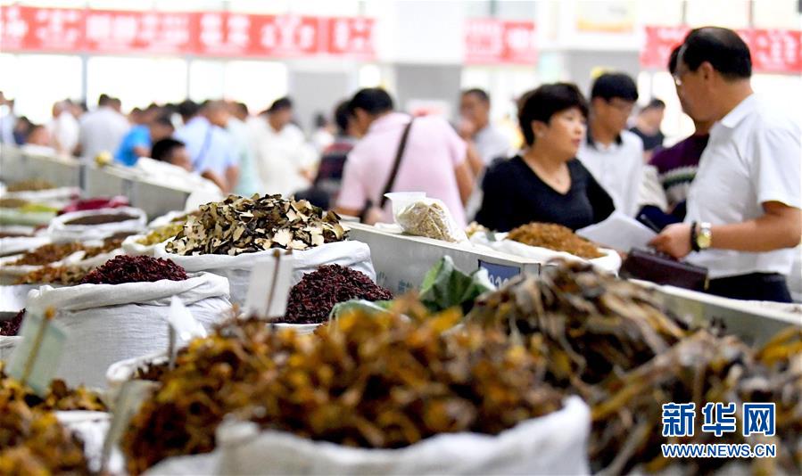 第33届全国(亳州)中药材交易会开幕