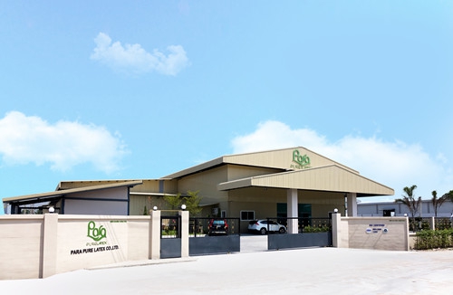 (para泰国乳胶枕工厂)