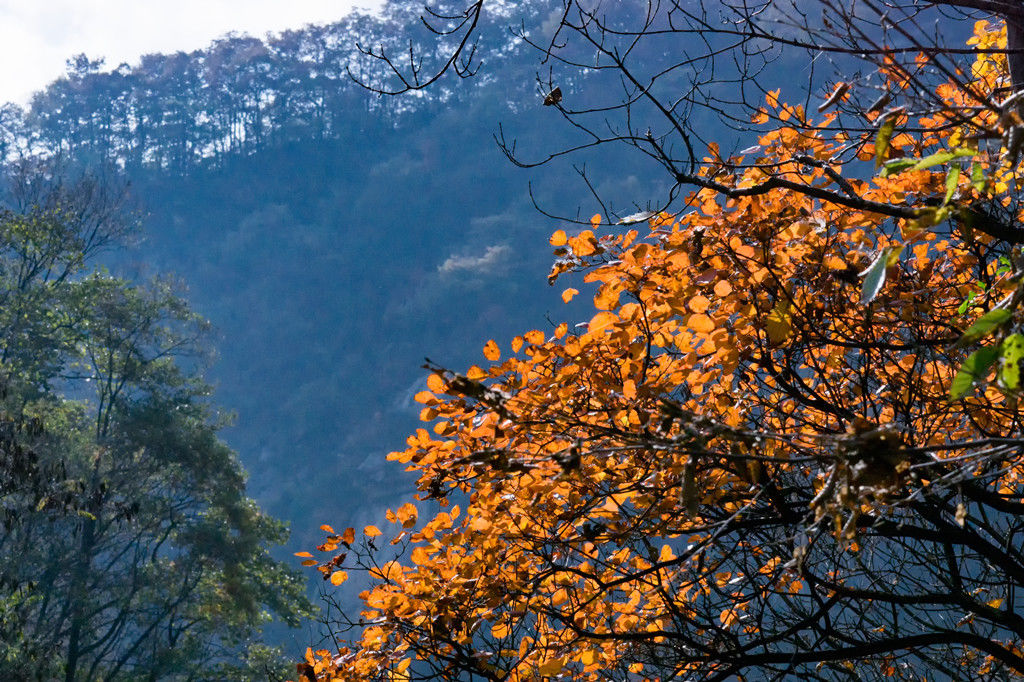 "层林尽染多彩尧山"——何元生优秀摄影作品赏析