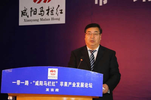 咸阳副市长程建国讲话