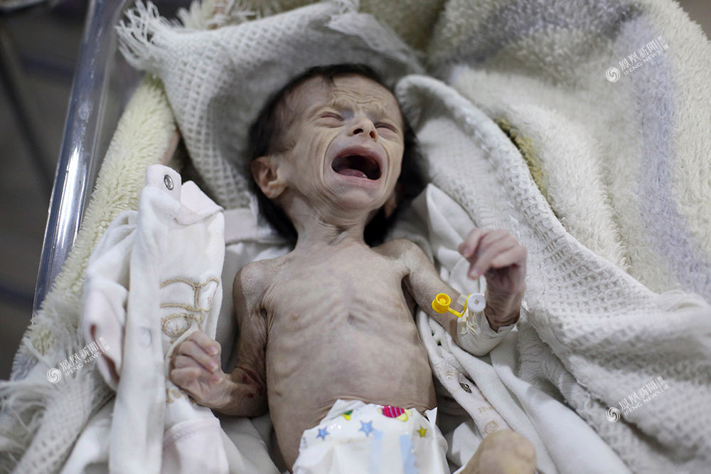 法新社2017年度图片