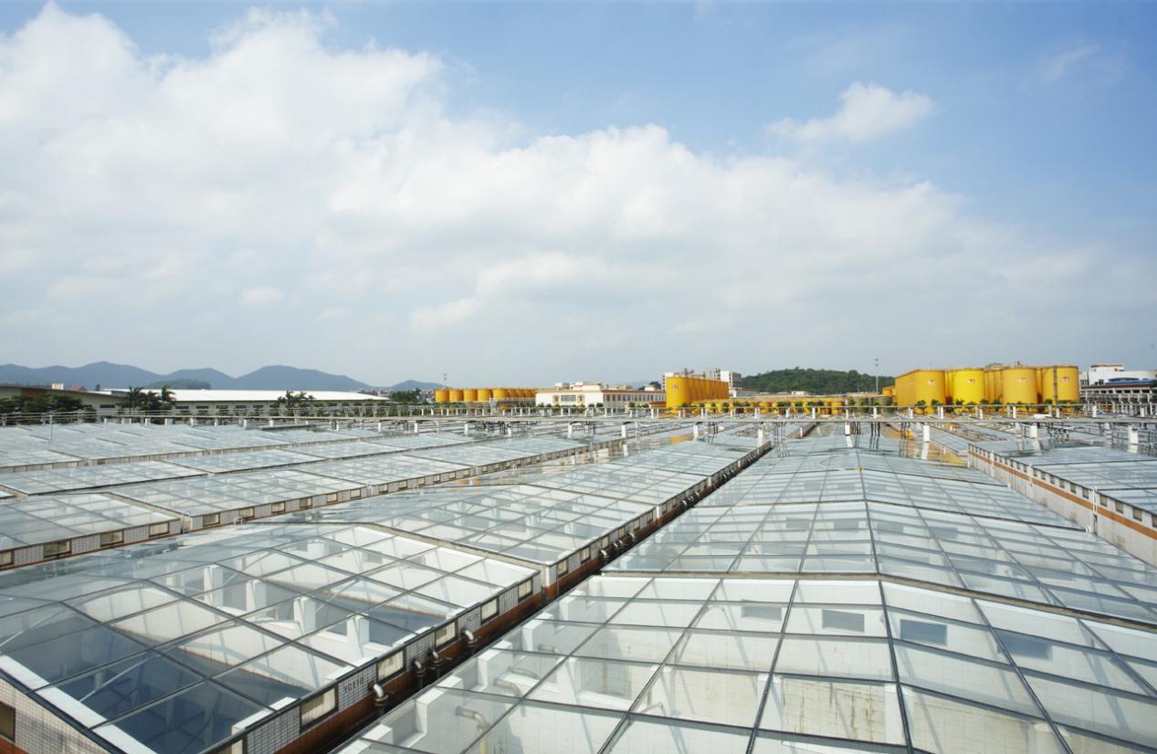 海天酱油品牌影响力深远海天味业不断增强企业实力