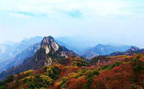 堯山紅葉美如畫 登高賞葉正當時_河南頻道_鳳凰網