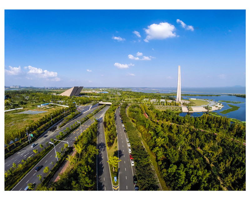 合肥滨湖科学城"开城"半年记