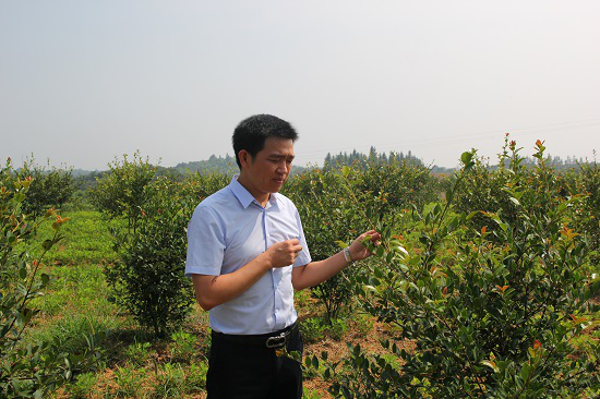 世外桃源梦默默耕耘中专访湖南省劳动模范曾山