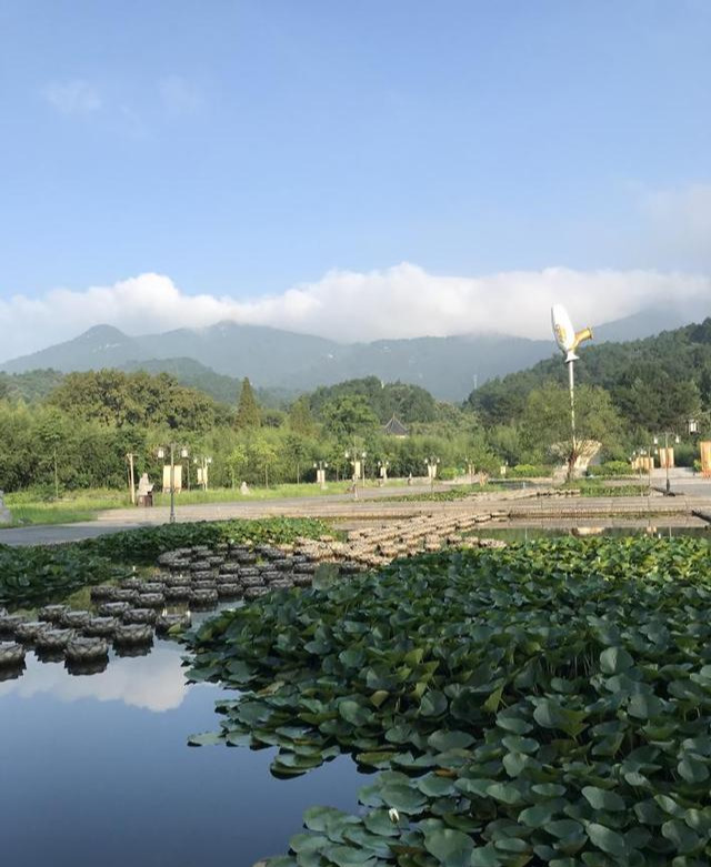 信陽靈山夏日山深處輕風涼襲衣