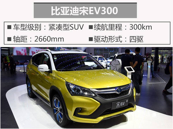 比亚迪宋ev300