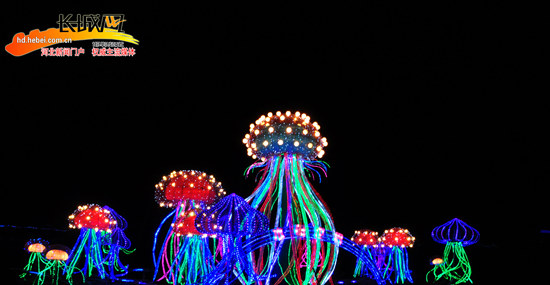 "空中水母".刘天意 摄