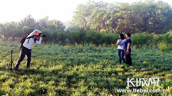 清晨迁安市民正在三里河生态廊道赏景看花,拍照游玩.李瑛 摄