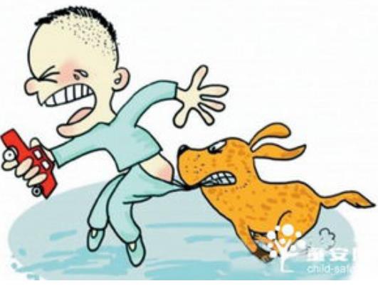 平安人寿客服节少儿平安行儿歌危险躲躲闪受热捧