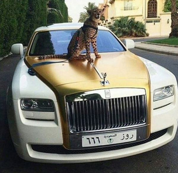 港媒:内地女童直播炫富 大骂"穷人买不起"(视频)