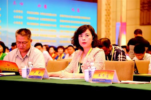 图文:严介和发力江城 拟千亿投资大武汉