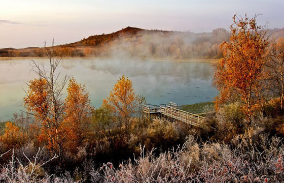 图片来源于网络七星湖是塞罕坝国家森林公园新开发的重点旅游风景点