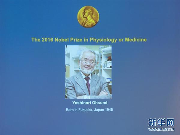 日本科学家大隅良典获2016年诺贝尔生理学或医学奖(组图)