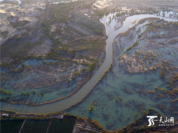 新疆塔里木河生态输水 下游成为绿色走廊
