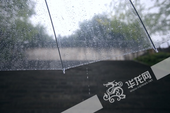 雨伞上雨珠图片图片