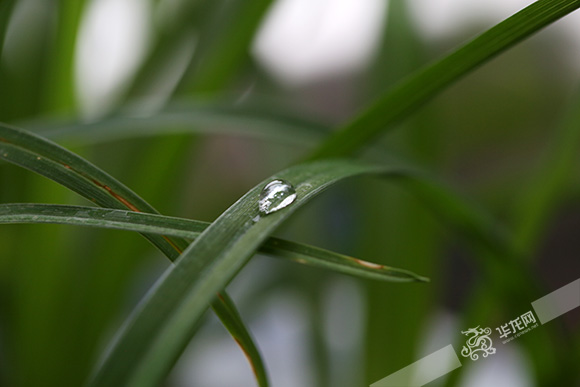 阴雨绵绵需注意防潮【摘要 本周重庆各地都一直持续阴雨天气,着实