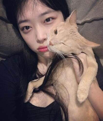 雪莉晒与丑猫贴脸自拍网友猫越来越丑了