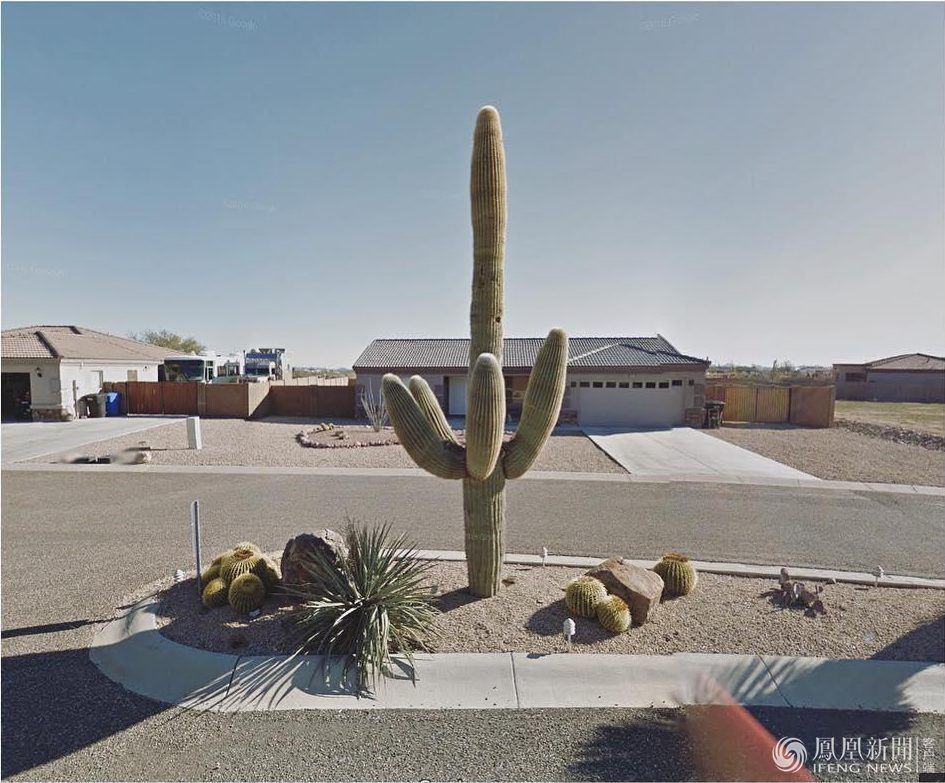 广场恐惧症患者用街景地图环游世界