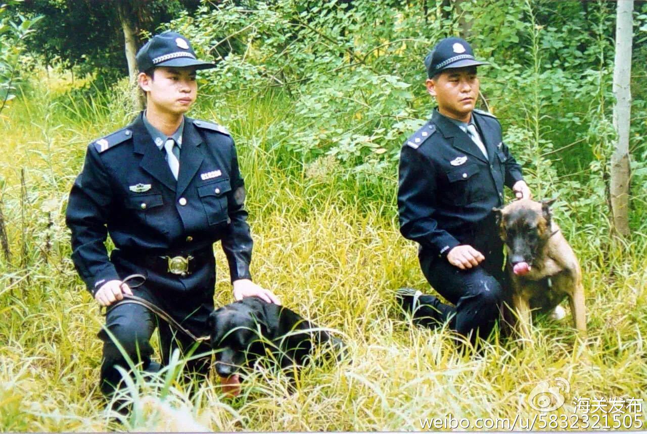 海关缉私警亲述:与湄公河不一样的缉毒故事